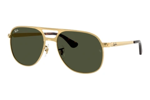 Sunglasses Ray-Ban BILL MAX (RB3793 001/31)