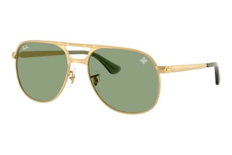 Sunglasses Ray-Ban BILL MAX (RB3793 929052)