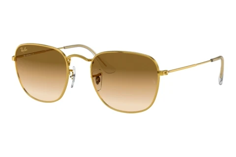 Sunglasses Ray-Ban FRANK (RB3857 919651)