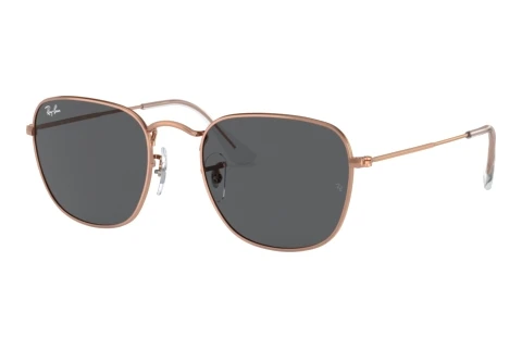 Sunglasses Ray-Ban FRANK (RB3857 9202B1)