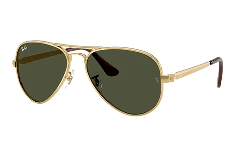 Sunglasses Ray-Ban AVIATOR MAX (RB3925 001/31)
