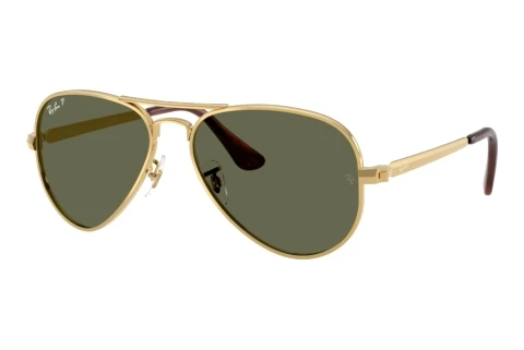 Sunglasses Ray-Ban AVIATOR MAX (RB3925 001/58)
