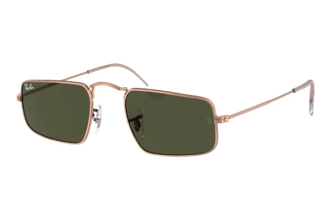 Sunglasses Ray-Ban JULIE (RB3957 920231)
