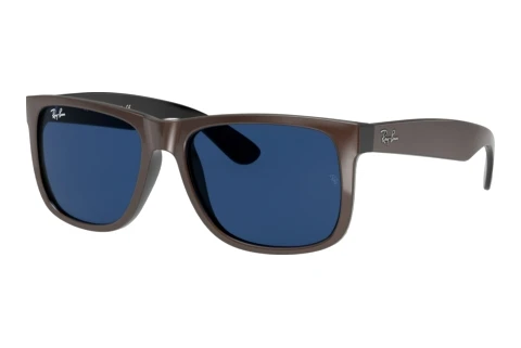 Sunglasses Ray-Ban JUSTIN (RB4165 647080)