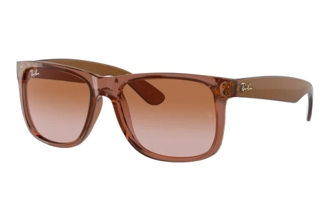 Sunglasses Ray-Ban JUSTIN (RB4165 659413)