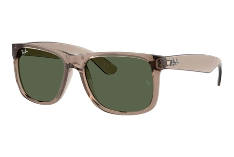 Sunglasses Ray-Ban JUSTIN (RB4165 691871)