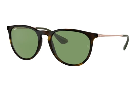 Sunglasses Ray-Ban ERIKA (RB4171 6393/2)