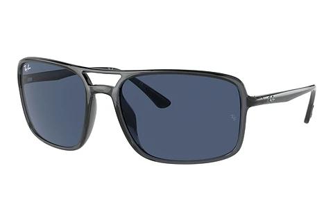 Sunglasses Ray-Ban RB4375 876/80