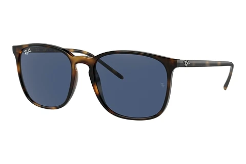 Sunglasses Ray-Ban RB4387 710/80