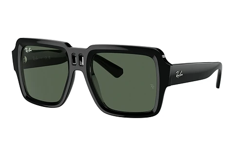 Sunglasses Ray-Ban MAGELLAN (RB4408 667771)
