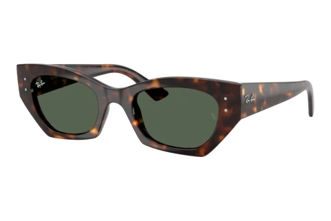 Sunglasses Ray-Ban ZENA (RB4430 135971)