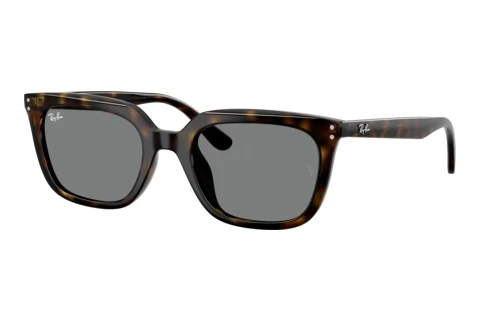 Sunglasses Ray-Ban RB4439D 710/87