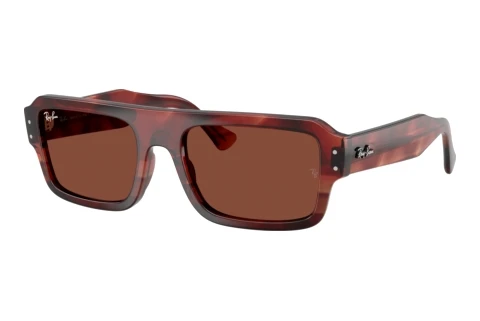 Sunglasses Ray-Ban FLACKO (RB4454 1452C5)
