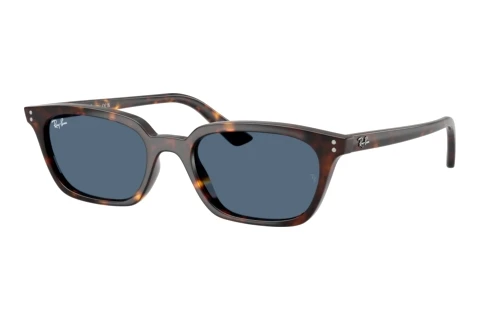 Sunglasses Ray-Ban ZAYA (RB4456 135980)