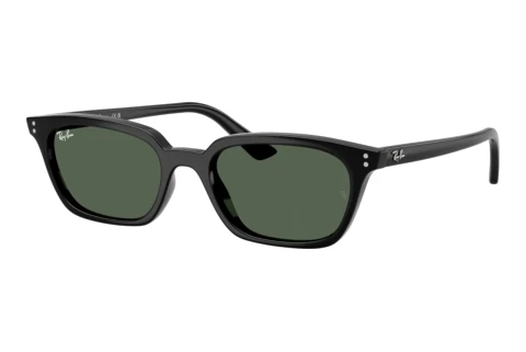 Sunglasses Ray-Ban ZAYA (RB4456 667771)