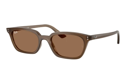 Sunglasses Ray-Ban ZAYA (RB4456 677973)