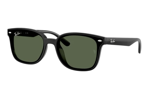 Sunglasses Ray-Ban RB4461D 601/71