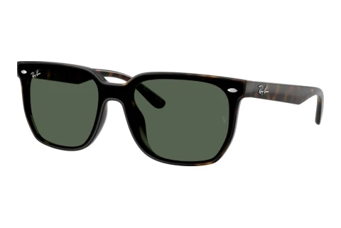 Sunglasses Ray-Ban RB4466D 710/71