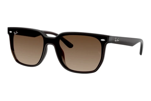 Sunglasses Ray-Ban RB4466D 714/13