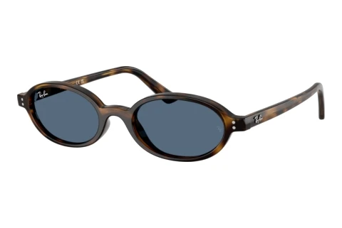 Sunglasses Ray-Ban RB4472 135980