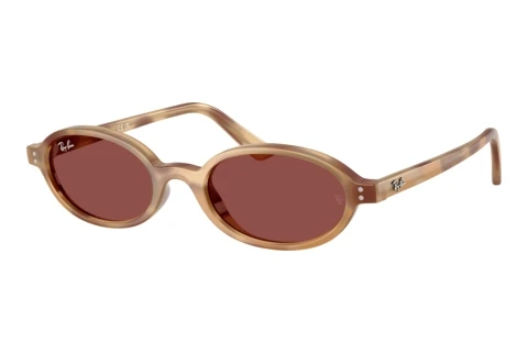 Sunglasses Ray-Ban RB4472 685675