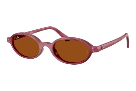 Sunglasses Ray-Ban RB4472 685773