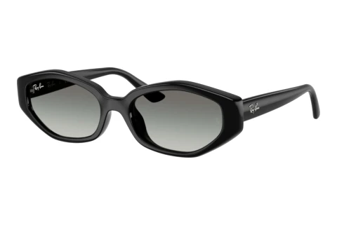 Sunglasses Ray-Ban RB4473D 667711