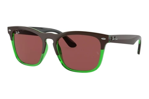 Sunglasses Ray-Ban STEVE (RB4487 663469)
