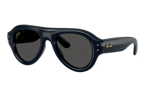 Sunglasses Ray-Ban RB4925 689587