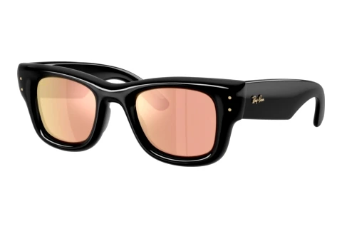 Sunglasses Ray-Ban WAYFARER PUFFER (RB4940 601/7J)