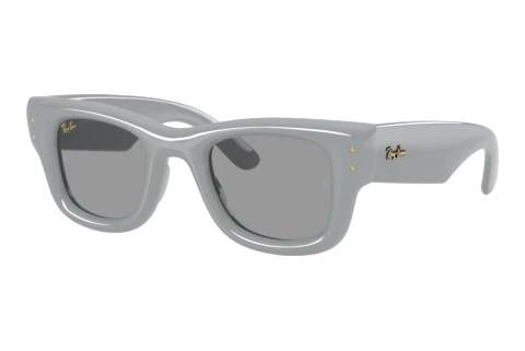 Sunglasses Ray-Ban WAYFARER PUFFER (RB4940 6876/1)