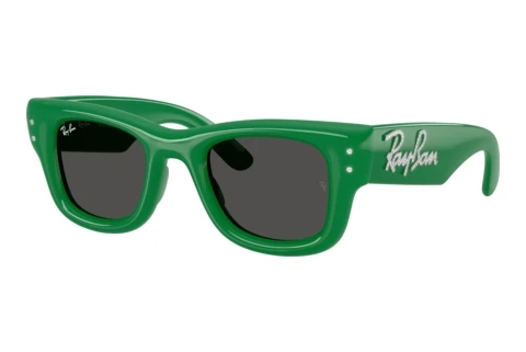 Sunglasses Ray-Ban WAYFARER PUFFER (RB4940B 685987)
