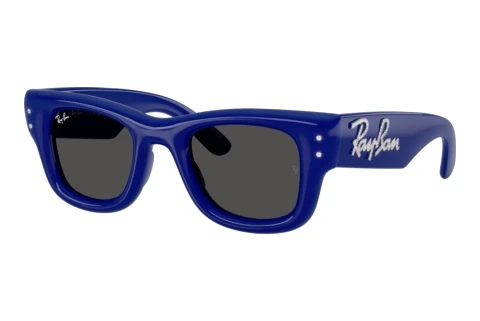 Sunglasses Ray-Ban WAYFARER PUFFER (RB4940B 686087)