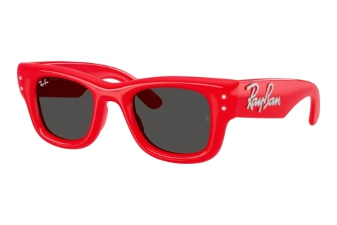 Sunglasses Ray-Ban WAYFARER PUFFER (RB4940B 686187)