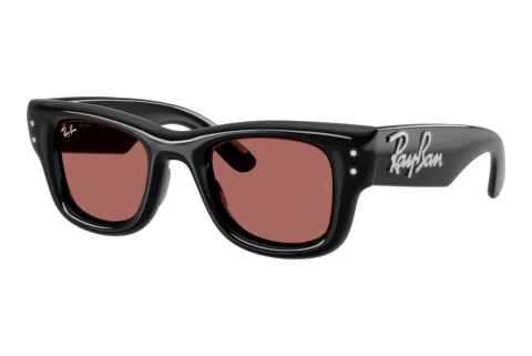 Sunglasses Ray-Ban WAYFARER PUFFER (RB4940B 686485)