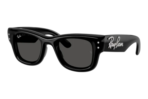 Sunglasses Ray-Ban WAYFARER PUFFER (RB4940B 686487)