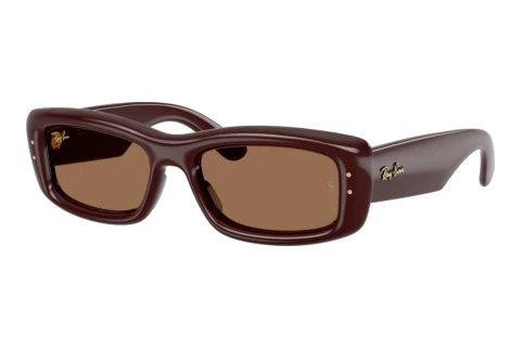 Sunglasses Ray-Ban RB4944 687773