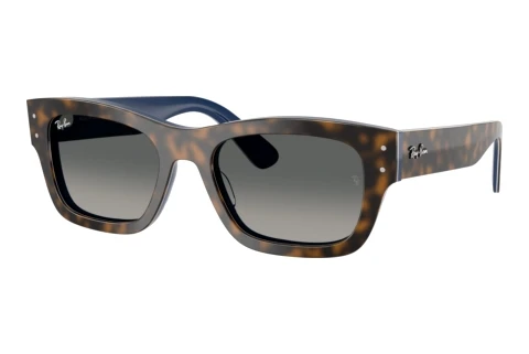 Sunglasses Ray-Ban JOSEPH (RB7683S 140171)