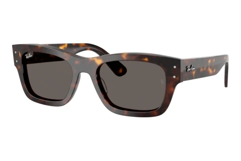 Sunglasses Ray-Ban JOSEPH (RB7683S 902/B1)