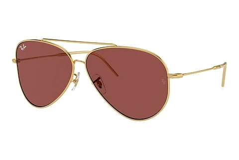 Sunglasses Ray-Ban AVIATOR REVERSE (RBR0101S 001/69)
