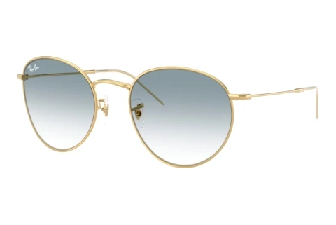 Sunglasses Ray-Ban ROUND REVERSE (RBR0103S 001/79)