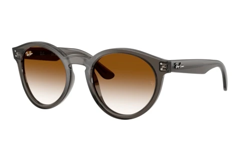 Sunglasses Ray-Ban RBR0505S 6707CB