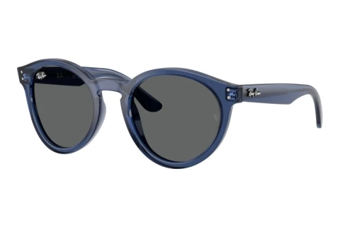 Sunglasses Ray-Ban RBR0505S 6708GR