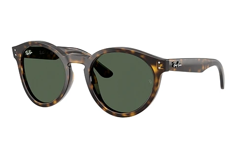 Sunglasses Ray-Ban RBR0505S 6790VR