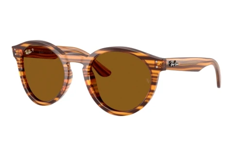 Sunglasses Ray-Ban RBR0505S 679183