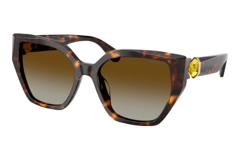 Sunglasses Swarovski SK6044U 1002T5