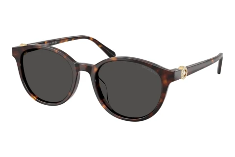 Sunglasses Swarovski SK6075D 100287