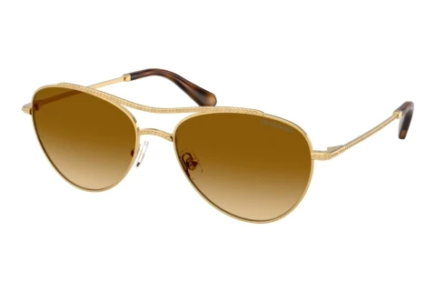 Sunglasses Swarovski SK7047 40043B