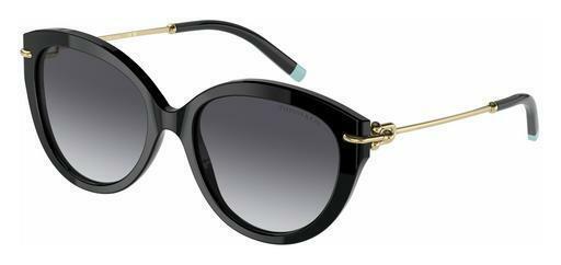 Sunglasses Tiffany TF4187 80013C