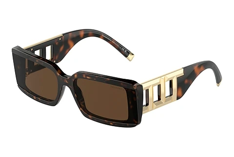 Sunglasses Tiffany TF4197 80153G